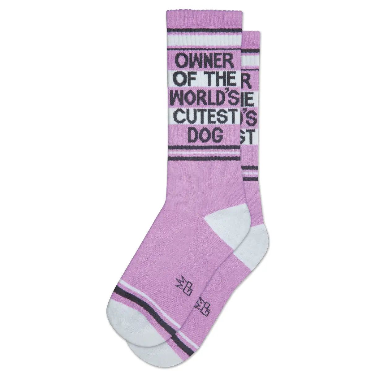 Owner of the World's Cutest Dog Socks x Gumball Poodle