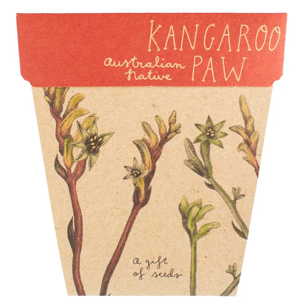 Kangaroo Paw Gift of Seeds x Sow 'n Sow