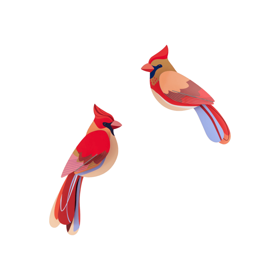 Wall Art - Cardinals x Studio Roof