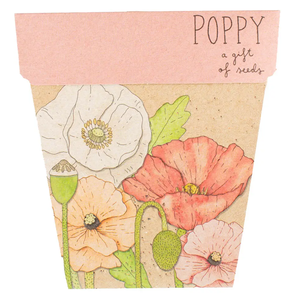 Poppy Flower Gift of Seeds x Sow 'n Sow