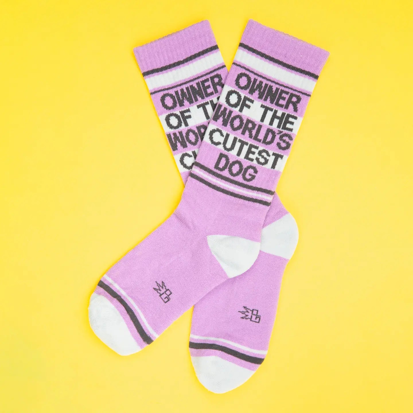 Owner of the World's Cutest Dog Socks x Gumball Poodle