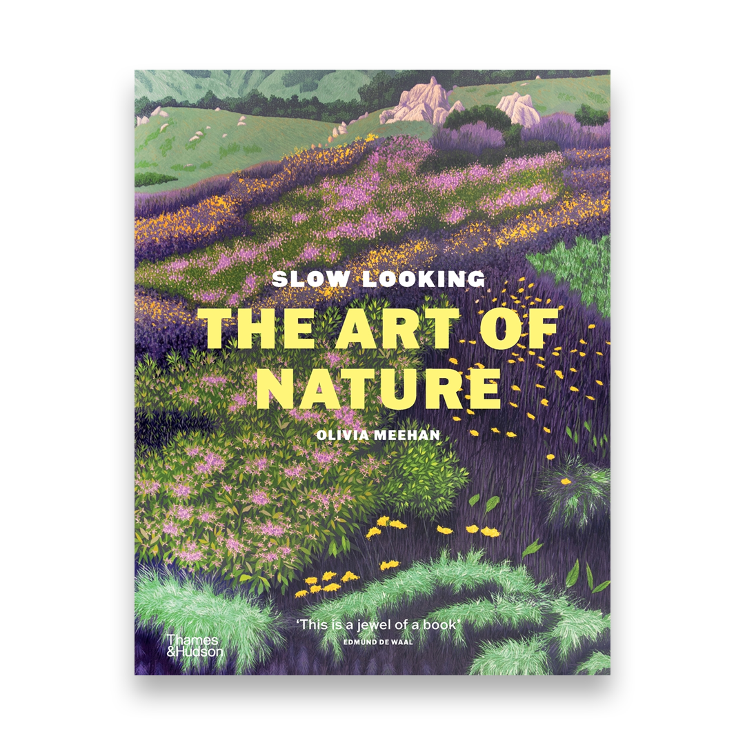 Slow Looking: The Art of Nature