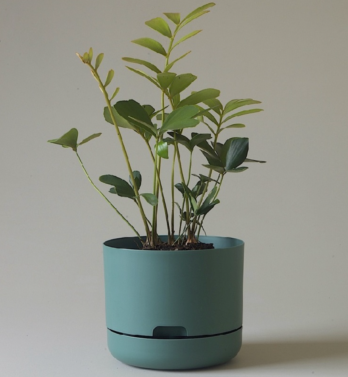 Mr Kitly - Self Watering Dark Moss 375mm Plant Pot