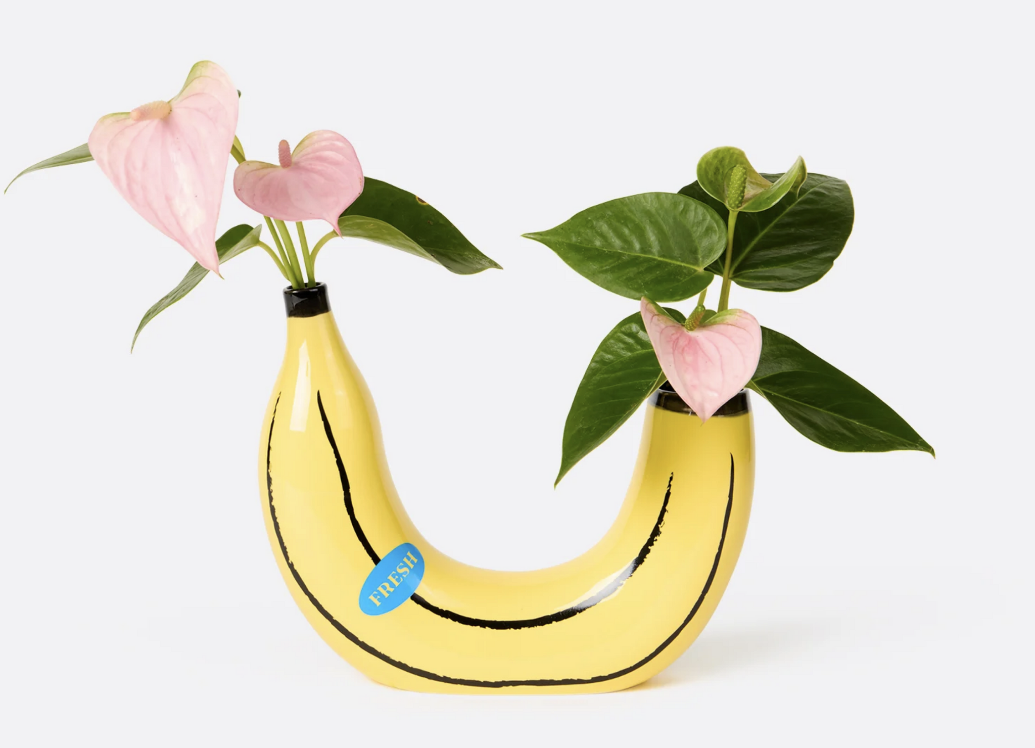 Banana Vase x Doiy