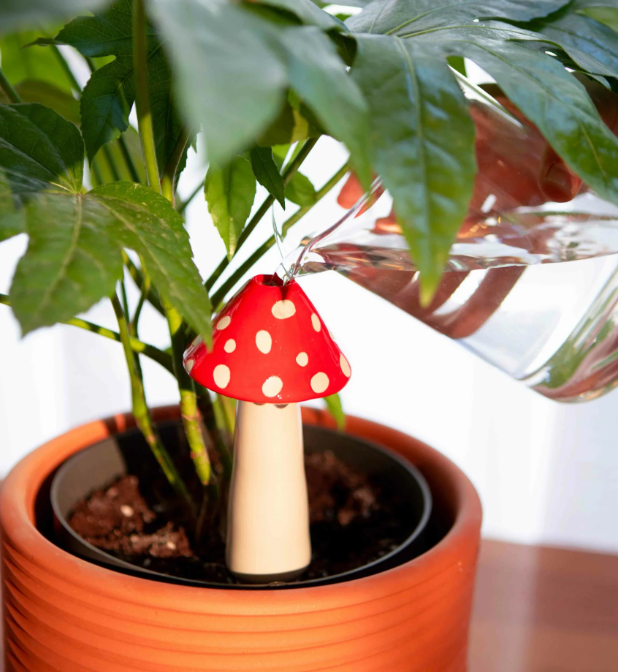 Amanita Watering System x DOIY