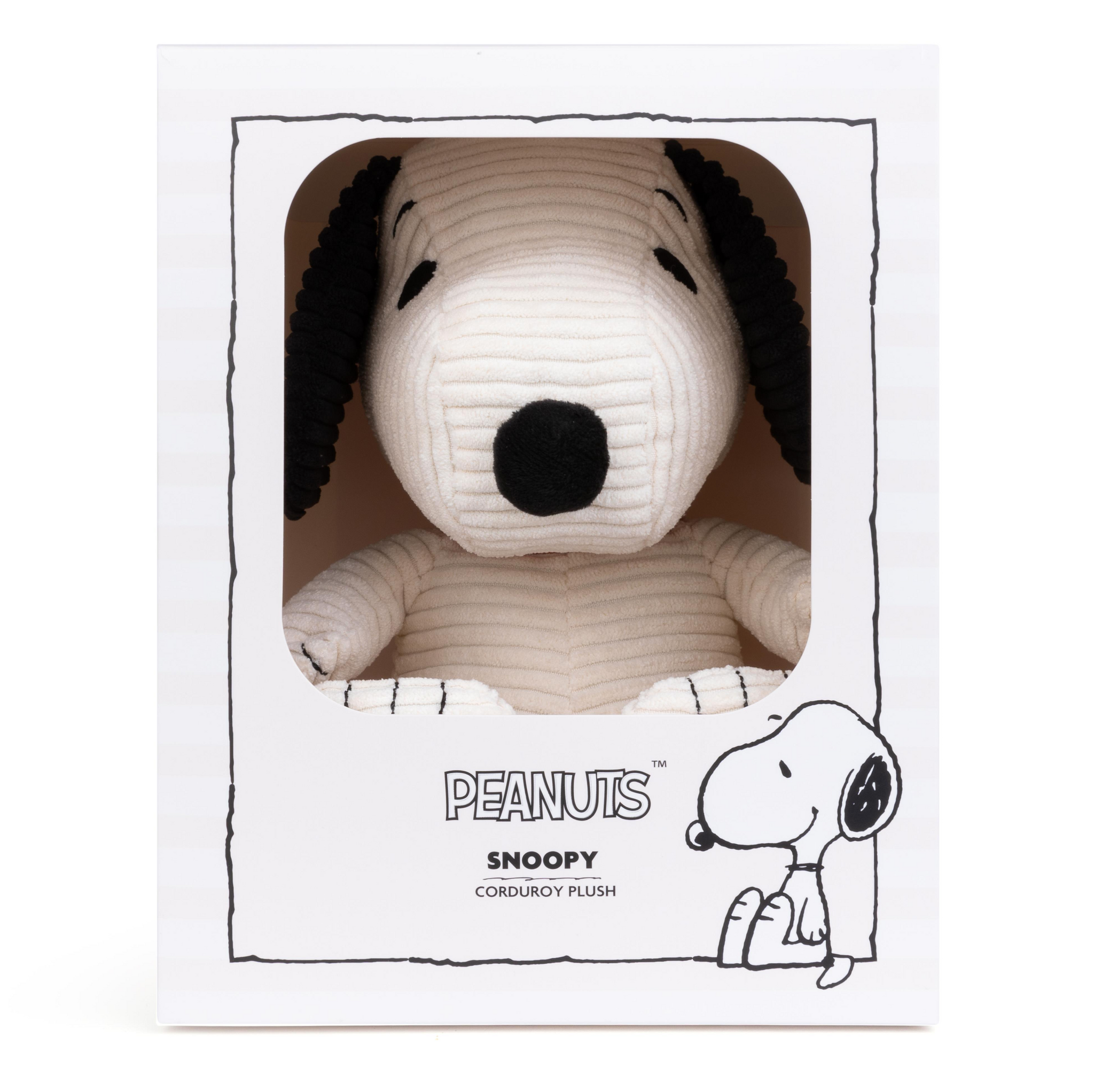 Large Sitting Snoopy in Giftbox