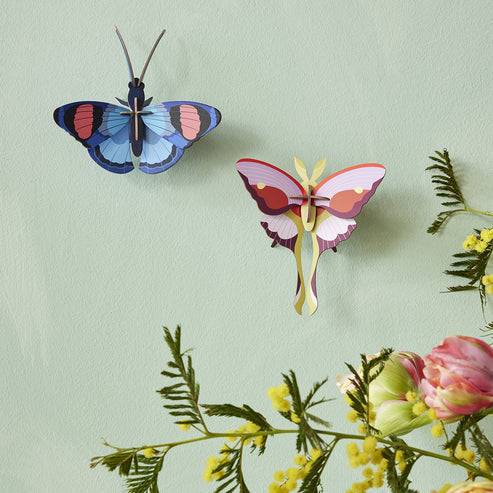 Wall Art - Peacock Butterfly x Studio Roof