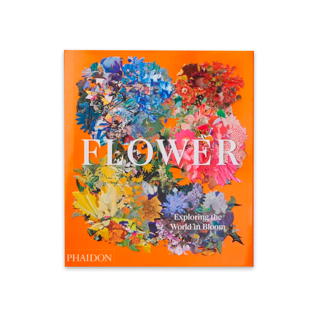 Flower: Exploring the World in Bloom