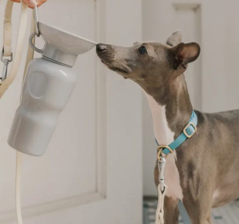 Classic  Doggy Travel Bottle Gray